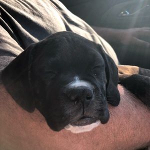 Meet your Posher, Keri